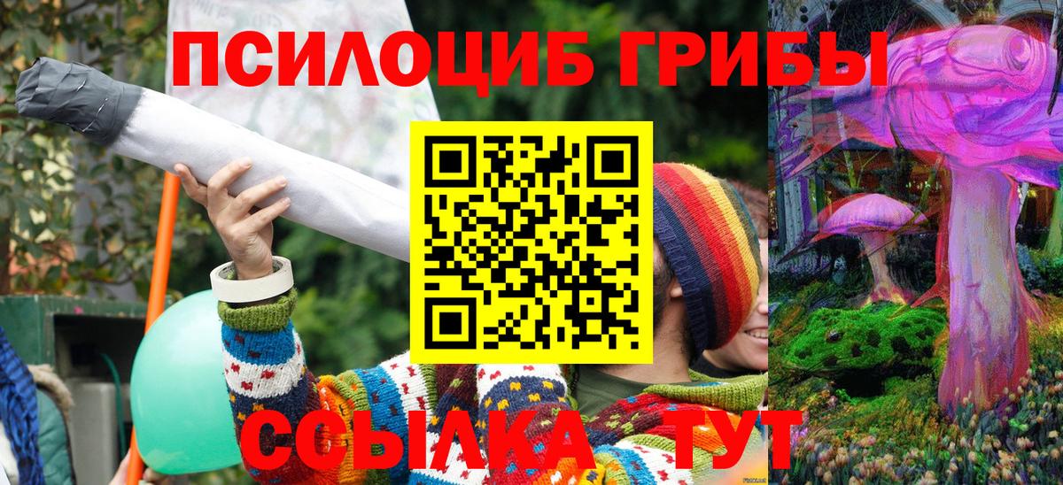 Галлюциногенные грибы MAGIC MUSHROOMS  Вход с VPN  Наро-Фоминск 