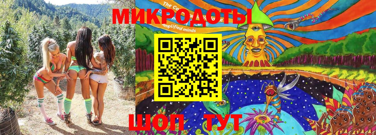 Псилоцибиновые грибы Psilocybine cubensis Наро-Фоминск